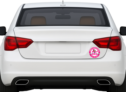 Smeeps BRS Party Logo Round Sticker – 10.16 cm (4 Inch) Car & Bike Vinyl Decal | Bharat Rashtra Samithi Political Sticker | Waterproof UV Resistant